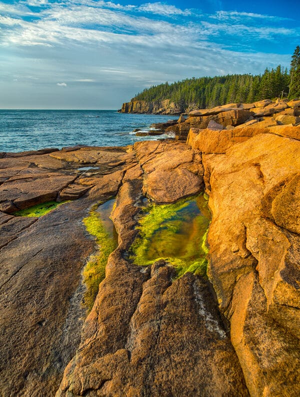Acadia Coastline AcadiaCoastline GD Whalen Photography