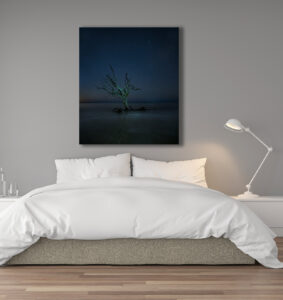 Archival canvas prints