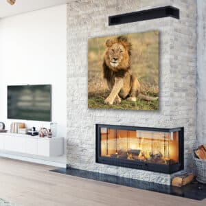 Home oversized acrylic office wall art LionCrossLeggedRoom GD Whalen Photography
