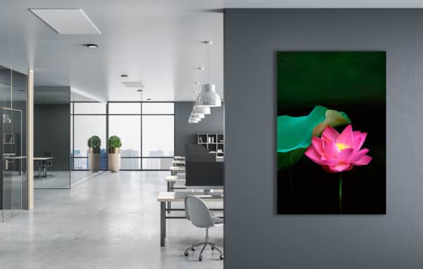 Pink Lotus with Emerald Water LotusWall GD Whalen Photography