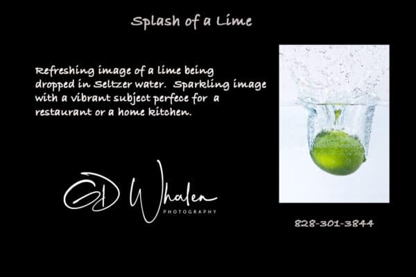 Splashes of Fruits SplashofaRLime GD Whalen Photography