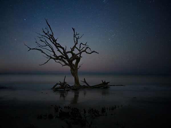 Stary Night Jekyll Island