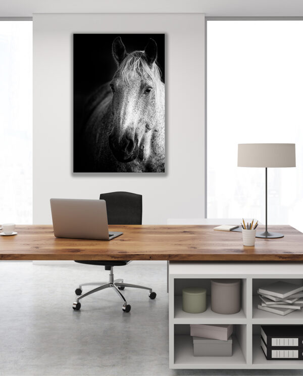 horse picture on wall